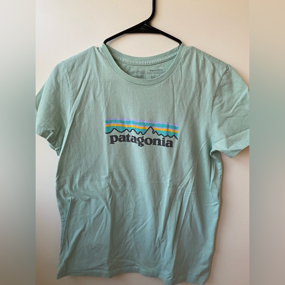 Patagonia Mint Green Graphic Tee